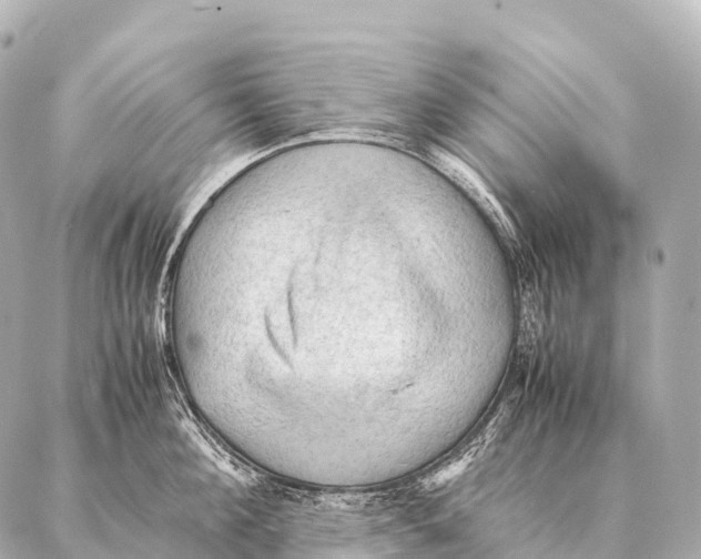 X0000087020908200705141853