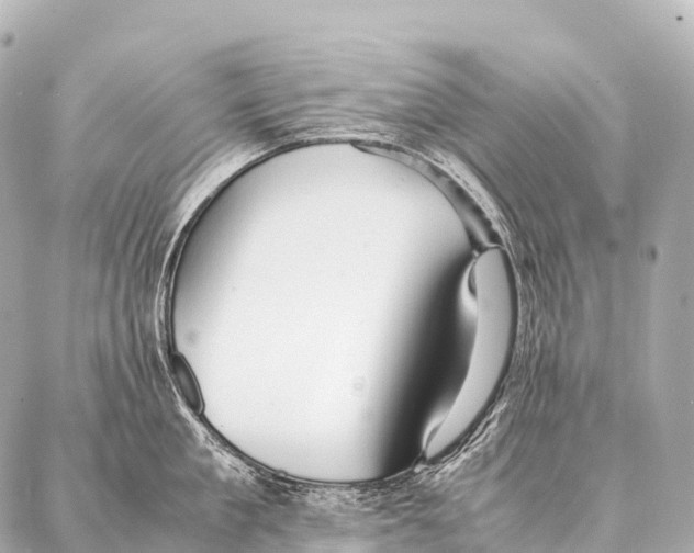 X0000087020909200705141853