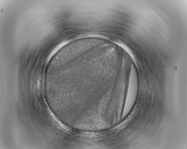 X0000087020910200705141853