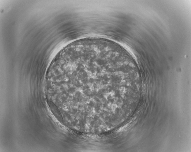 X0000087020911200705141853