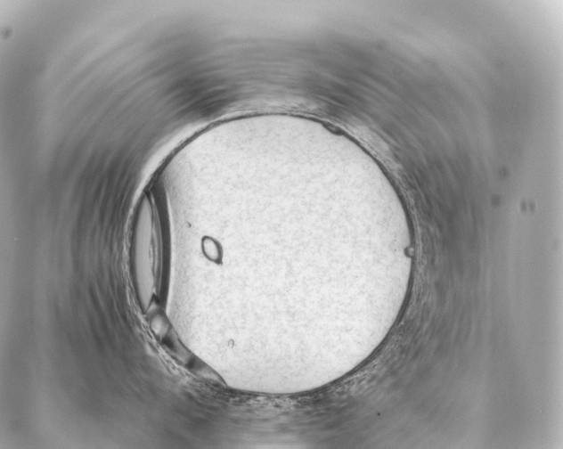 X0000087020912200705141853