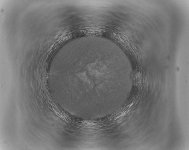 X0000087020913200705141852