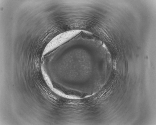 X0000087020915200705141852