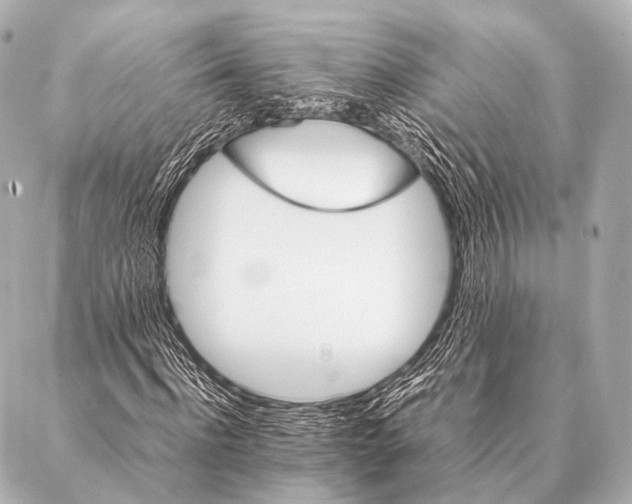 X0000087020916200705141852