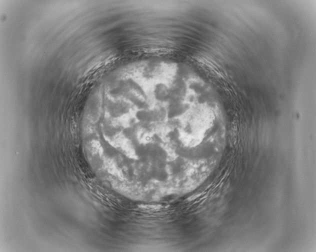 X0000087020917200705141852