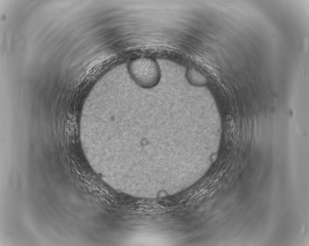 X0000087020918200705141852