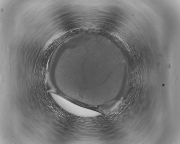 X0000087020919200705141852