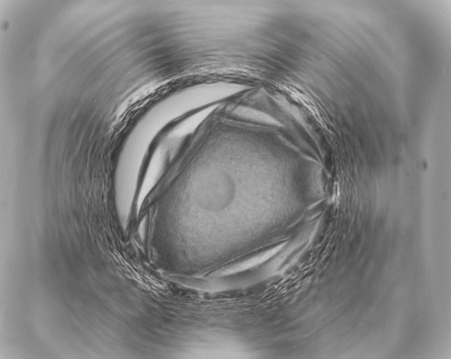 X0000087020920200705141852