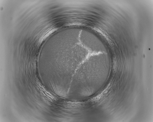 X0000087020921200705141852