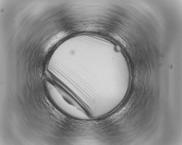 X0000087020922200705141852