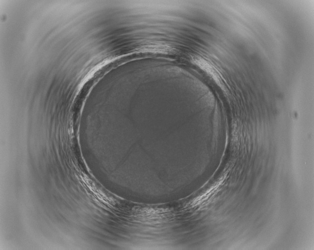 X0000087020923200705141852