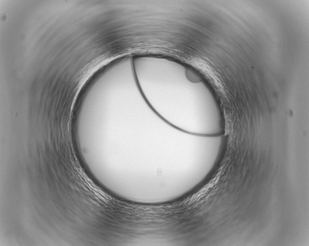 X0000087020924200705141852