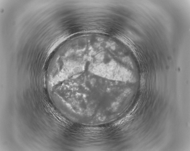 X0000087020925200705141852