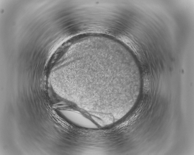 X0000087020926200705141853