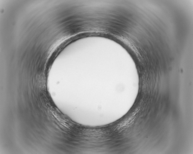 X0000087020927200705141853