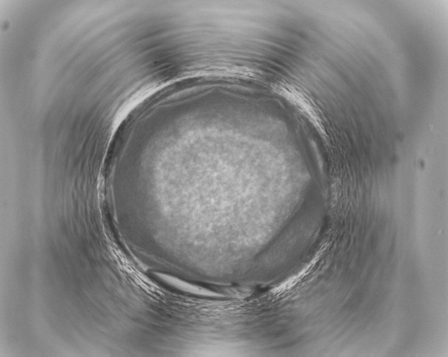 X0000087020928200705141853