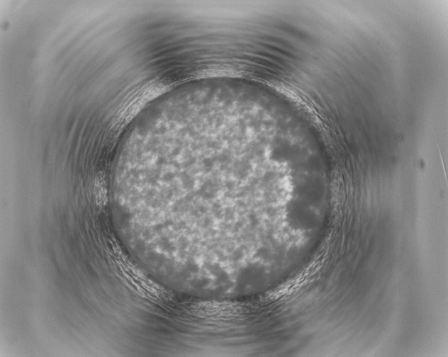 X0000087020929200705141853