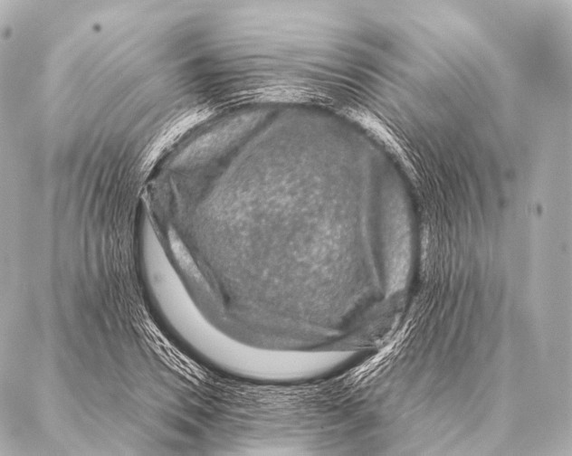 X0000087020930200705141853