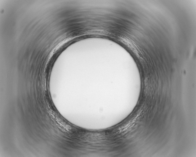 X0000087020931200705141853