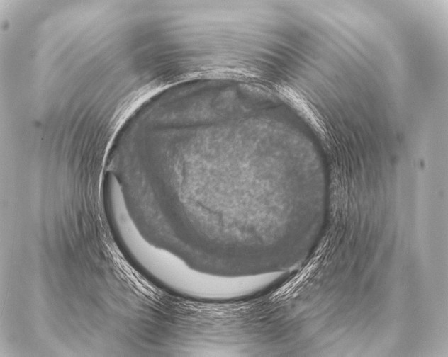 X0000087020932200705141853