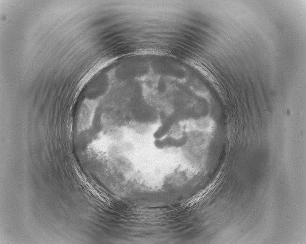 X0000087020933200705141853