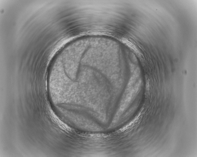 X0000087020934200705141853