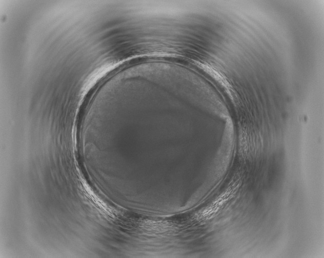 X0000087020935200705141853