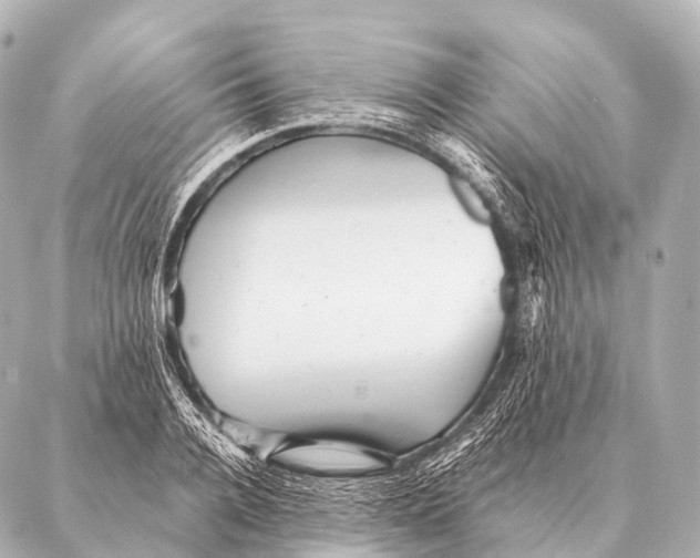 X0000087020936200705141853