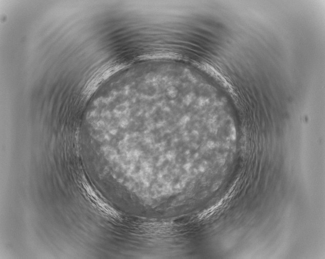 X0000087020937200705141853