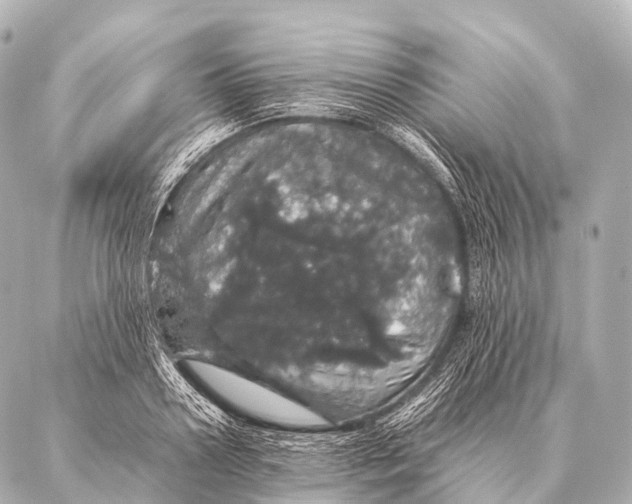 X0000087020938200705141853