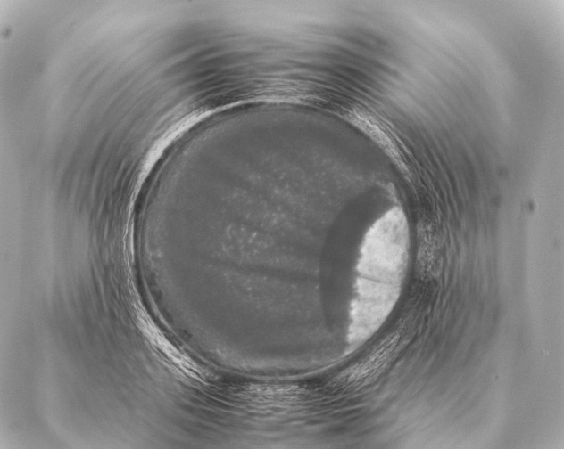 X0000087020939200705141853