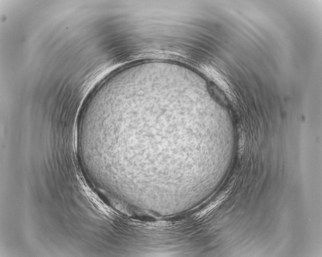 X0000087020940200705141853