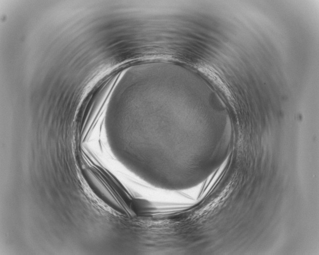 X0000087020941200705141853