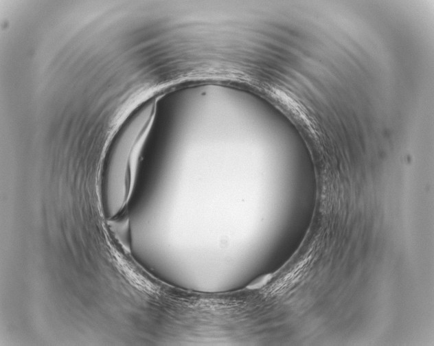 X0000087020942200705141853