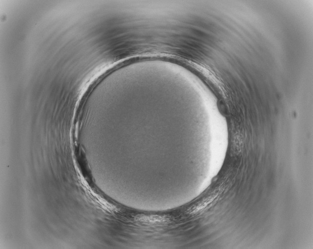 X0000087020943200705141853