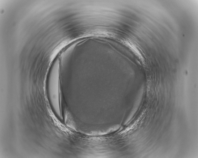 X0000087020944200705141853