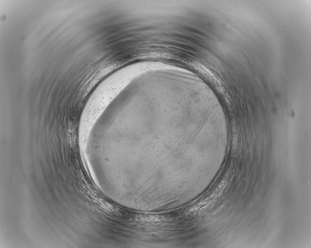 X0000087020945200705141853