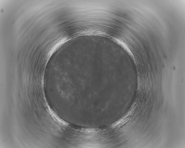 X0000087020946200705141853