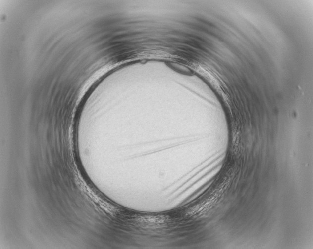 X0000087020947200705141853