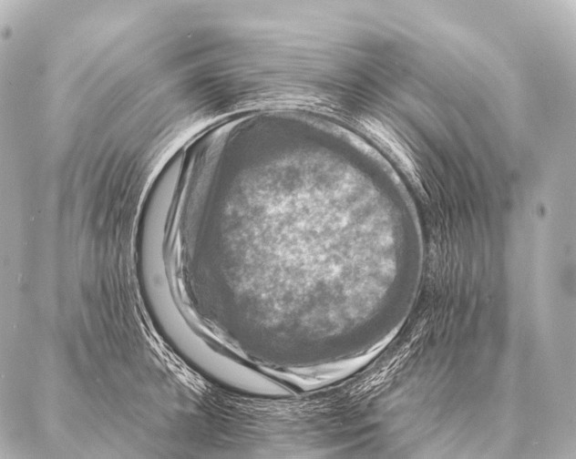 X0000087020948200705141853