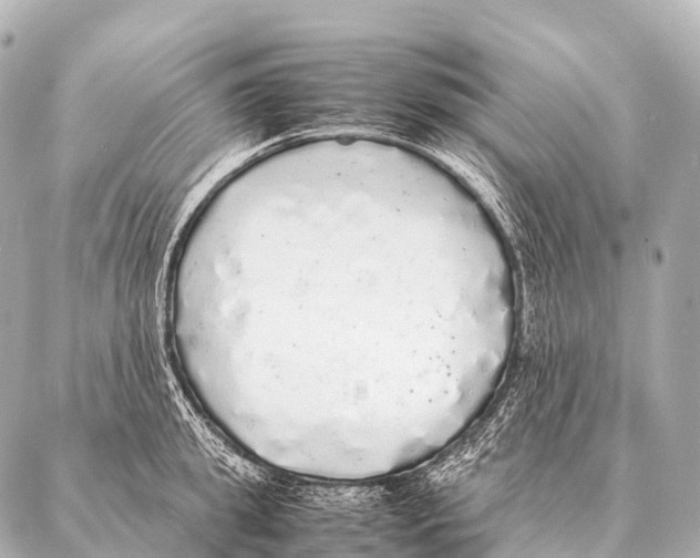 X0000087020949200705141853