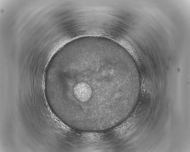 X0000087020950200705141853