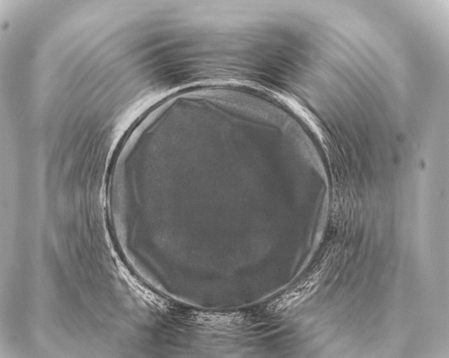 X0000087020951200705141853