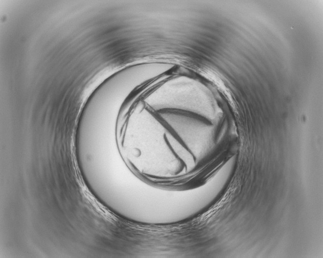 X0000087020952200705141853