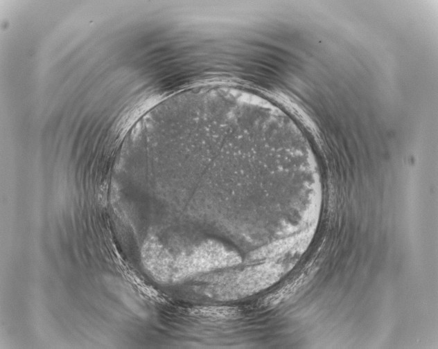 X0000087020953200705141853