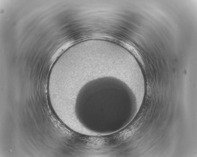 X0000087020954200705141853