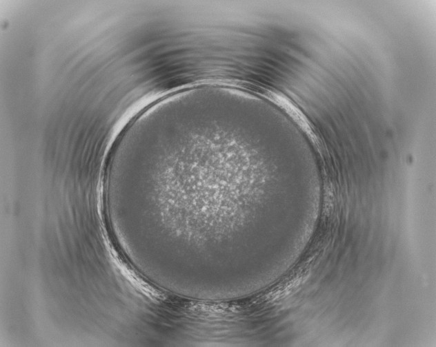 X0000087020955200705141853