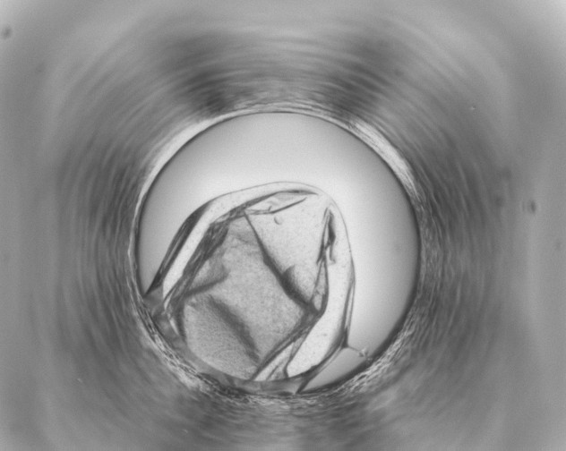 X0000087020956200705141853