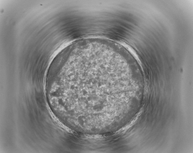 X0000087020957200705141853