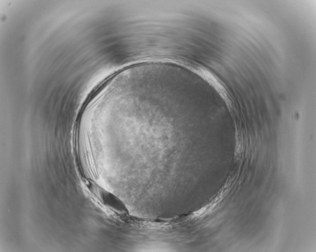 X0000087020958200705141853